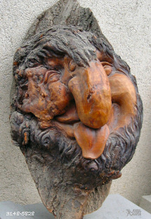 Wurzel: Züngler