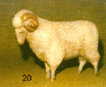 70-20