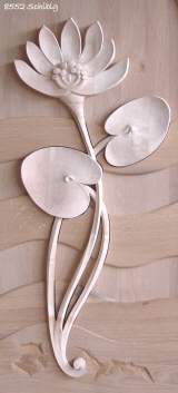 Seerose